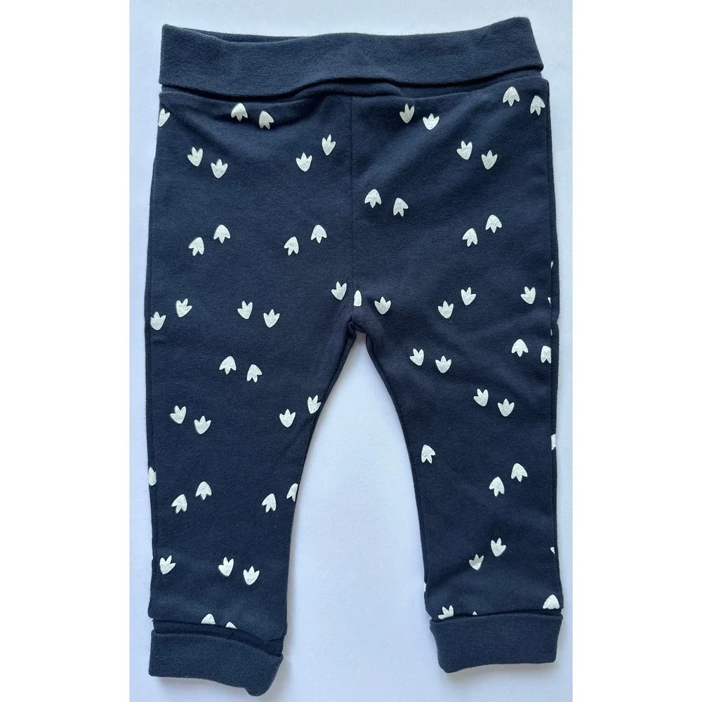 Petit Lem's Mini Threads Baby Dinosaur Print 2pc Organic Cotton Set Size 9mo‎